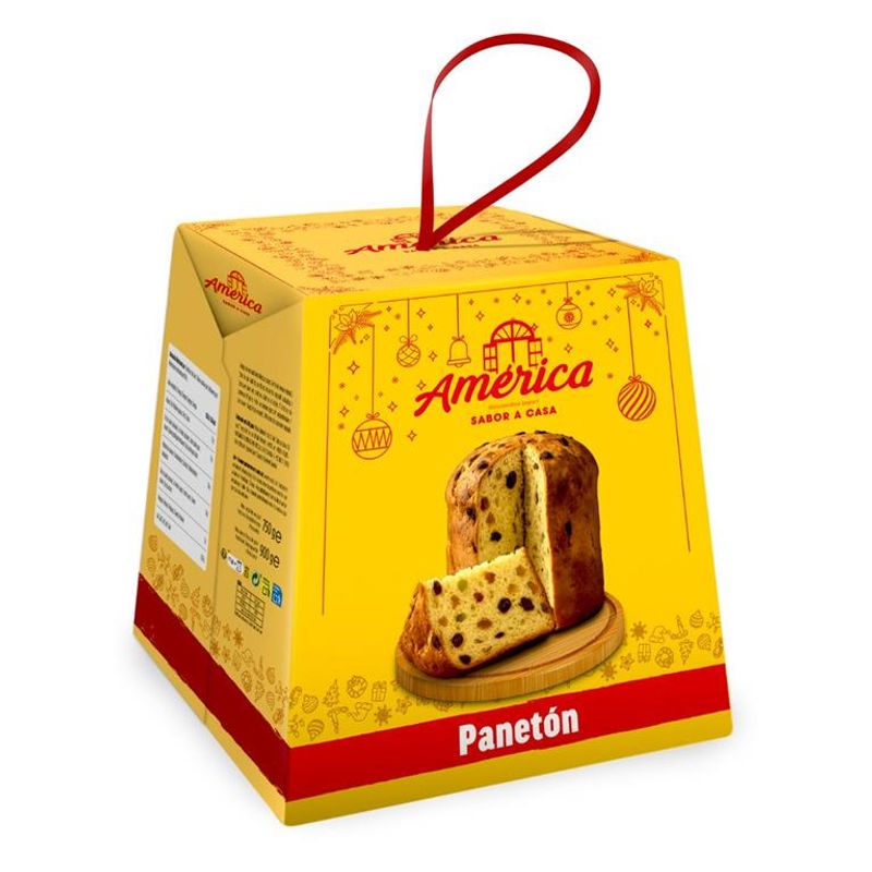 PANETÓN / PANETTONE 900g AMÉRICA